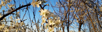 FilDesSaisons2 FilDesSaisons2